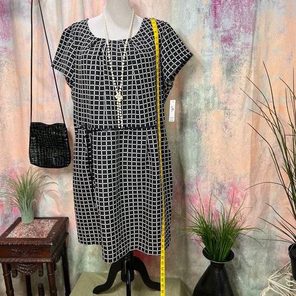 NWT๐Shelby & Palmer Dash - Dot Clean Lines Work to Weekend Dress with Pockets - Picture 5 of 16